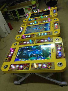 一網(wǎng)打盡捕魚機價格與軟件開發(fā)全解析